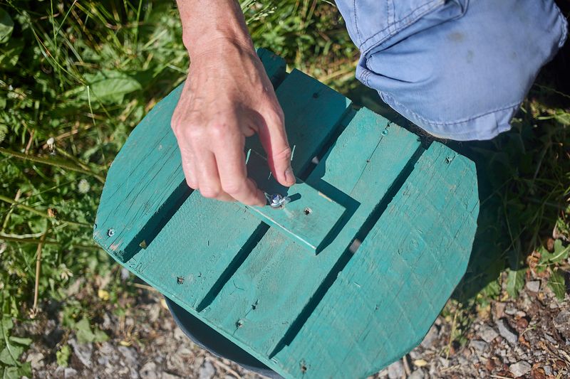 Ein waschbärsicherer Deckel aus Holz schützt Amphibien in einem Fangeimer an einem Schutzaun. Das Projekt des BUND Bad Langensalza verhindert den Zugriff von Waschbären und wurde mit dem Thüringer Umweltpreis ausgezeichnet.